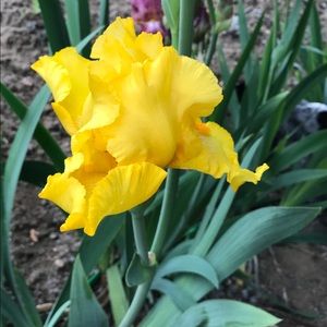 Meet your Posher, Michele